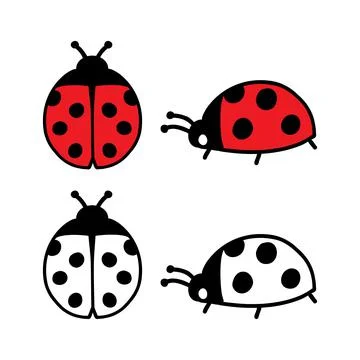 Ladybug hand drawn doodle set. Isolated vector illustration for coloring book Stock Illustration