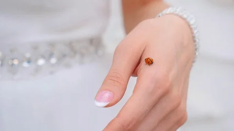 Ladybug on hand Video stock 85255777