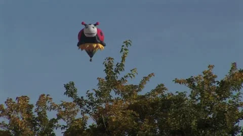 Ladybug Hot Air Balloon Floating Behind Trees 스톡 동영상 19144323