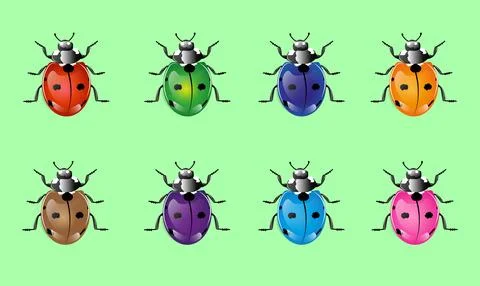 Ladybug illustrated in different colors Stock Illustration