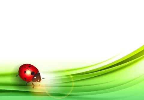 Ladybug Stock Illustration