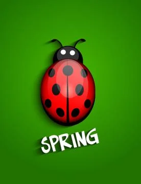 Ladybug Stock Illustration