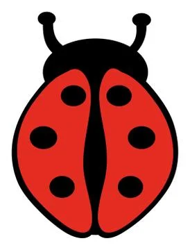 Ladybug Stock Illustration