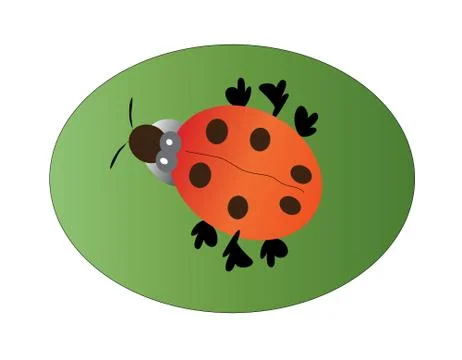 Ladybug Stock Illustration