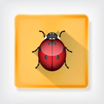 Ladybug Stock Illustration