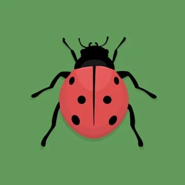 Ladybug Stock Illustration