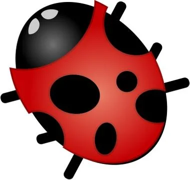 Ladybug Stock Illustration