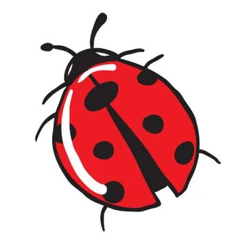 Ladybug Stock Illustration