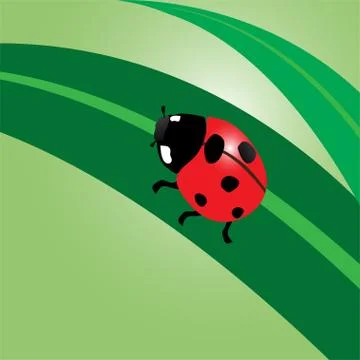 Ladybug. 스톡 일러스트