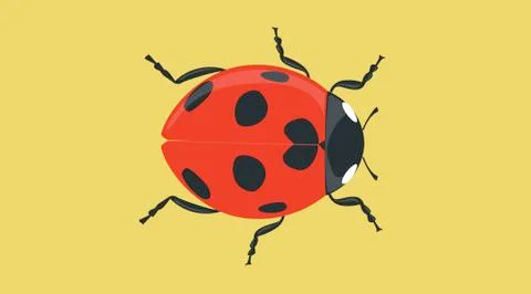 Ladybug Stock Illustration