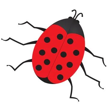Ladybug Illustrazione stock