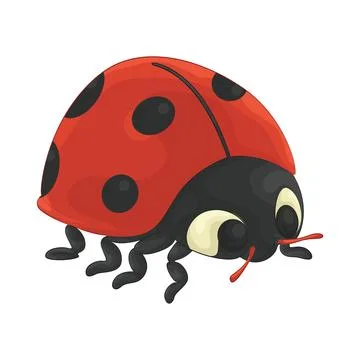 Ladybug illustration Stock Illustration