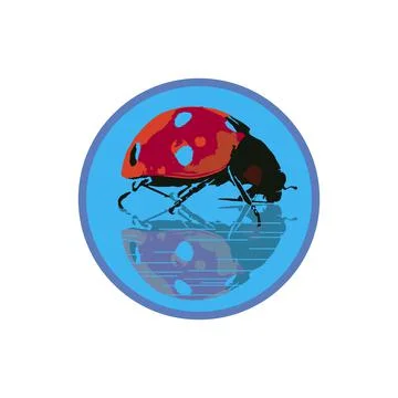Ladybug inscribed in a blue circle with water reflection Illustrazione stock