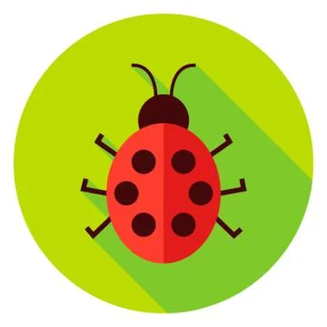 Ladybug Insect Circle Icon Stock Illustration