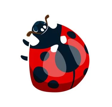 Ladybug insect font typeset cartoon letter D Stock Illustration