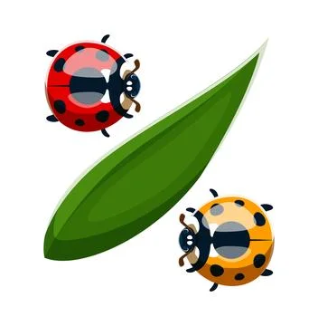 Ladybug insect font typeset punctuation percent Stock Illustration