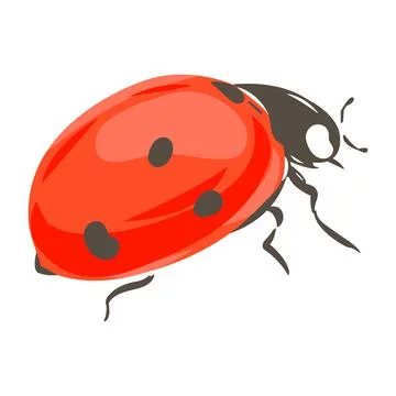 Ladybug insect hand drawn vector illustration Illustrazione stock