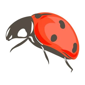 Ladybug insect hand drawn vector illustration Stock Illustration