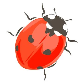 Ladybug insect hand drawn vector illustration Stock Illustration