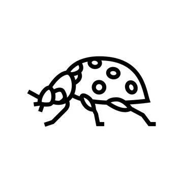 Ladybug insect line icon vector illustration 스톡 일러스트