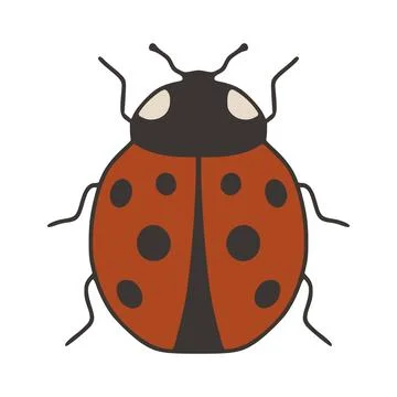 Ladybug insect vector drawing representing nature and spring Illustrazione stock