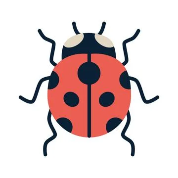 Ladybug insect. Vector illustration isolated on white background, hand draw.. Stock Illustration