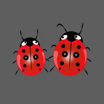 Ladybug isolated on black, vector illustration, eps-10 Stock Illustration