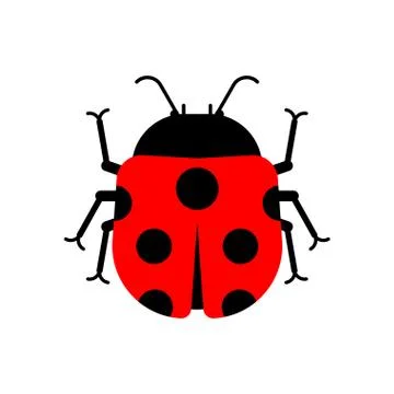 Ladybug isolated. bug cartoon style. Vector illustration Stock Illustration