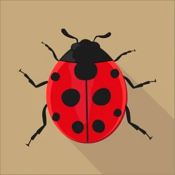 Ladybug isolated flat style, vector illustration. Stock Illustration
