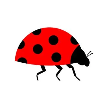 Ladybug isolated. Red small bug. beetle vector illustration Stock Illustration