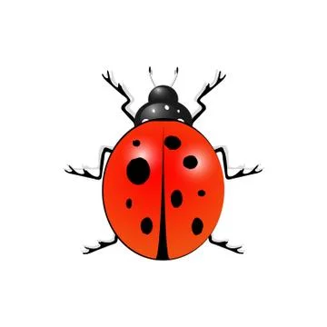 Ladybug isolated on white background Stock Illustration