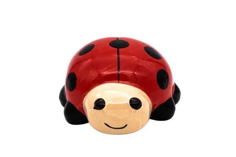 A ladybug isolated on a white background Stock Photos