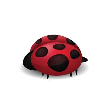 Ladybug isolated on white Stock Illustration