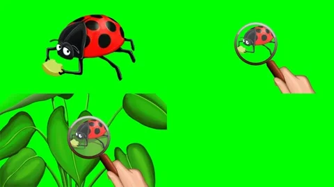 Ladybug leaves and hand holding magnifying glass search block animations 2d Stockbeeldmateriaal 334703084