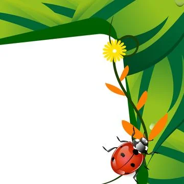 Ladybug with leaves and space write Stock Illustration