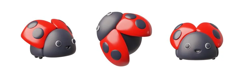 Ladybug or ladybird different sides view realistic 3D vector icons set, red Stock Illustration