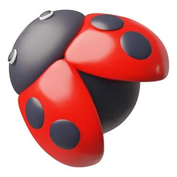 Ladybug or ladybird insect top view realistic 3D vector icon, cartoon red beetle 스톡 일러스트