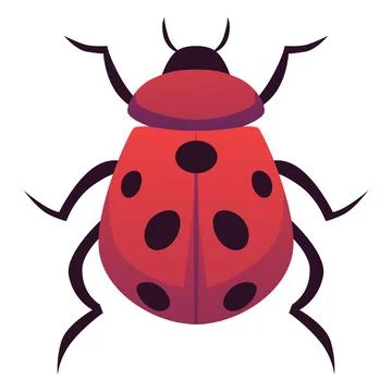 Ladybug or ladybird insect top view flat vector icon, cartoon red beetle with Stock Illustration
