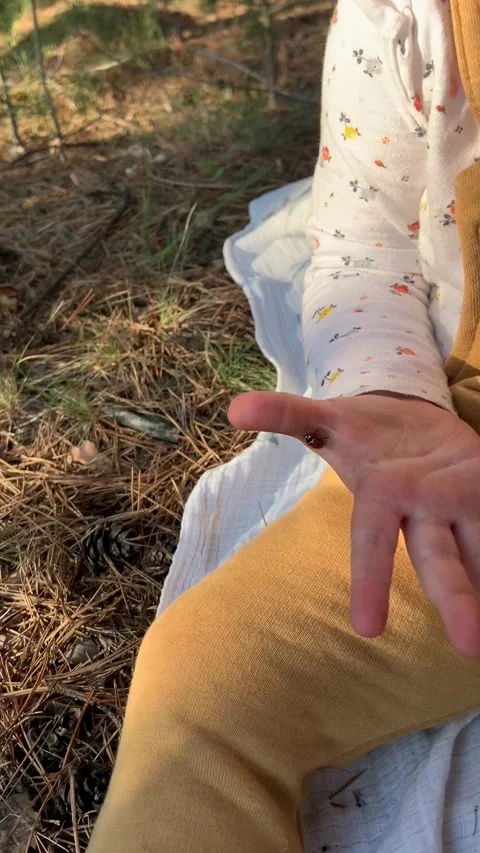 Ladybug in the palm of your hand Stock Footage 235790270