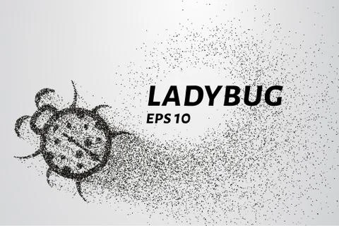 Ladybug of particles. Ladybug consists of circles and points. Vector illust.. Stock Illustration
