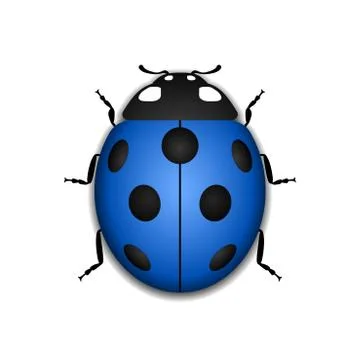 Ladybug realistic cartoon icon Stock Illustration