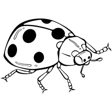 Ladybug side view line art Illustrazione stock