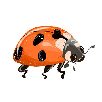 Ladybug, simple flat design stylized red and black. Vector illustration isolated Stock Illustration