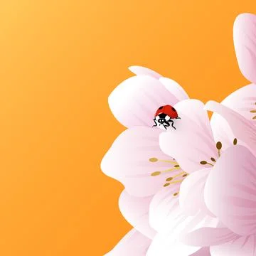 A ladybug sits on the delicate white-pink flowers of an apple tree, a peach Stock Illustration