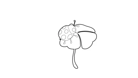 Ladybug sits on a flower icon animation Stock Footage 161041387