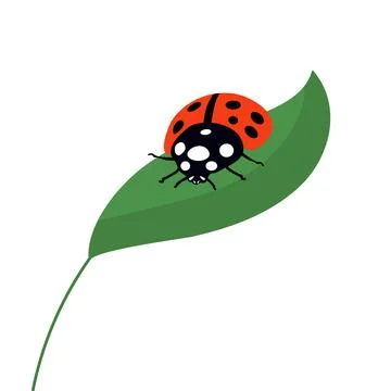 Ladybug sitting on a green leaf Stock Illustration