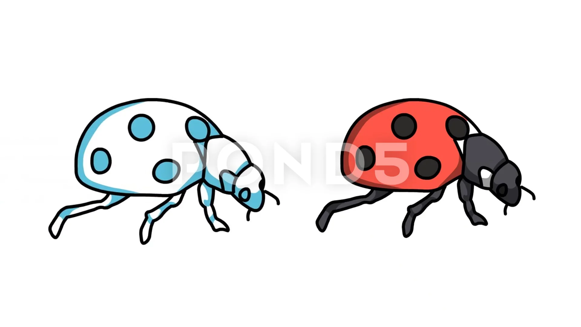 ladybug Sketch and 2d animation, insect