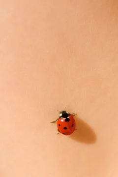 Ladybug on skin Stock Photos