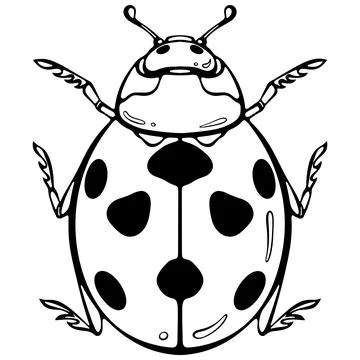 Ladybug top view line art Stock Illustration