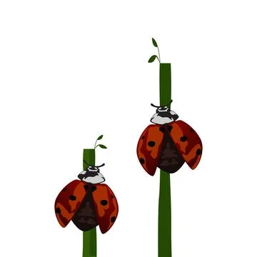 Ladybug vector design. Illustrazione stock